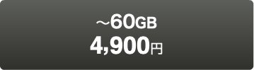  〜60GB 4,900円
